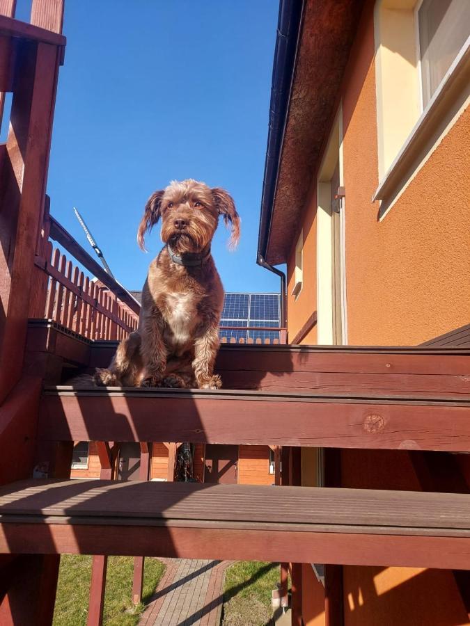 Siedlisko Na Zaciszu Apartamenty Katy Rybackie Luaran gambar